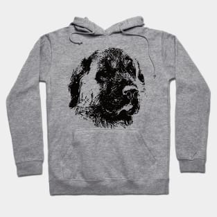 Anatolian Shepherd gift for Kangal Owners Hoodie